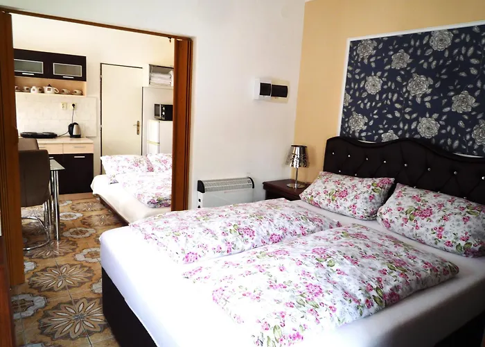 아파트 Pohoda - *